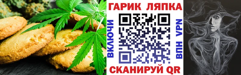 Купить где  Фатеж  Canna-Cookies конопля 
