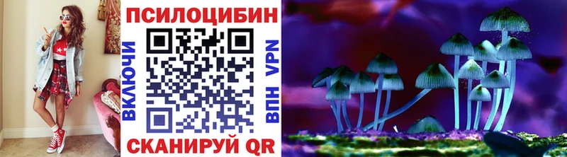 Купить закладки  Фатеж  Псилоцибиновые грибы Cubensis 